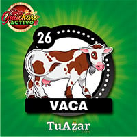  - VACA