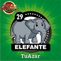  - ELEFANTE