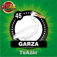 45 - GARZA