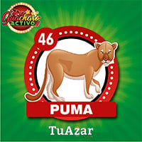 46 - PUMA