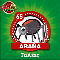  - ARAÑA