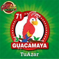  - GUACAMAYA