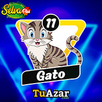  - GATO