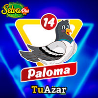  - PALOMA