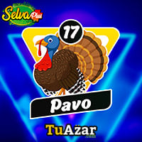  - PAVO