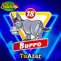  - BURRO