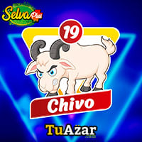 19 - CHIVO