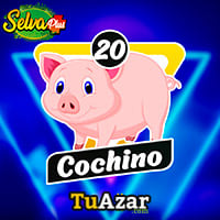 20 - CERDO