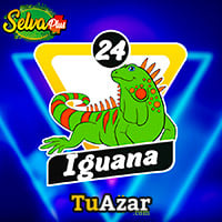  - IGUANA