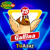  - GALLINA