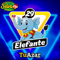  - ELEFANTE