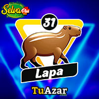 31 - LAPA