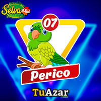  - PERICO