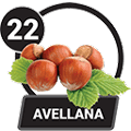 22 - AVELLANA