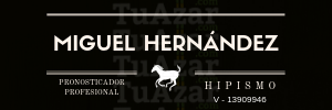 Banner Miguel Hernandez