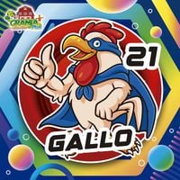21 - GALLO