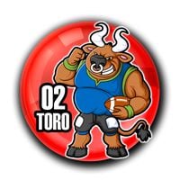 2 - TORO