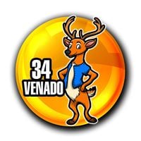 34 - VENADO