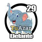 29 - ELEFANTE