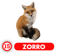  - ZORRO