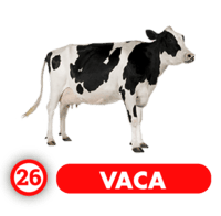  - VACA