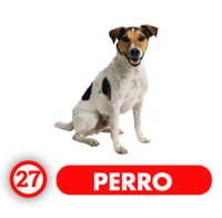  - PERRO