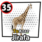 35 - JIRAFA