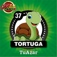 37 - TORTUGA