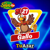 21 - GALLO