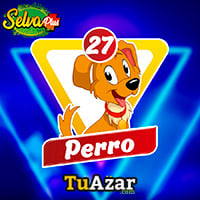 27 - PERRO