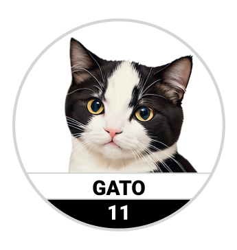 GATO