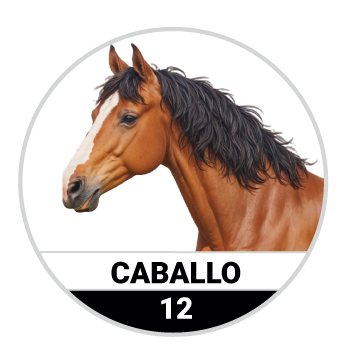 CABALLO