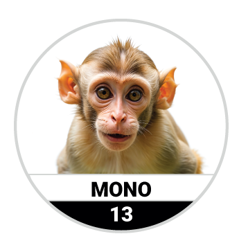 MONO