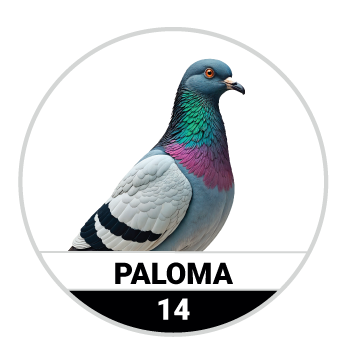 PALOMA