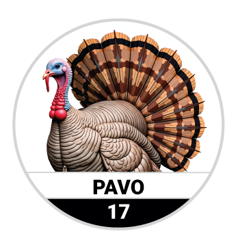 PAVO