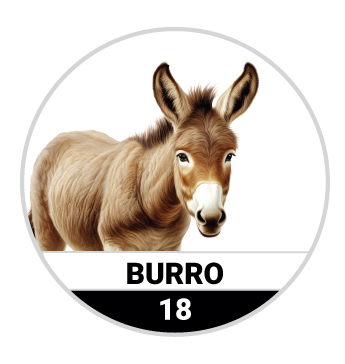 BURRO