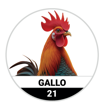 GALLO
