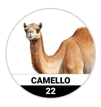 CAMELLO