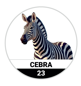 CEBRA