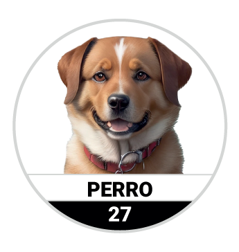 PERRO