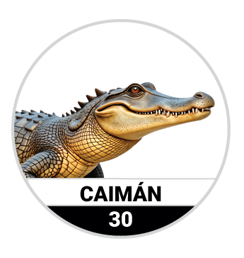 CAIMÁN