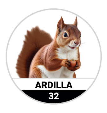 ARDILLA