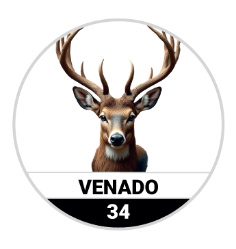 VENADO