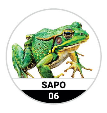 SAPO