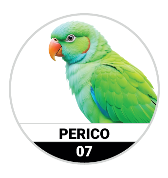 PERICO