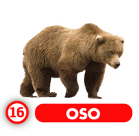 OSO