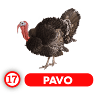 Chance Con Animalitos A — 17 PAVO
