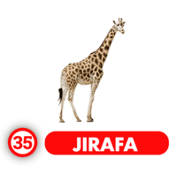 JIRAFA