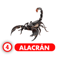 ALACRÁN