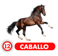 CABALLO